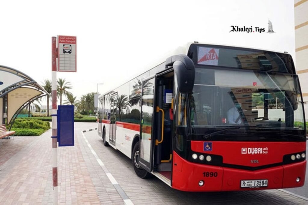 Al Ain to Sharjah Bus Timings (Full Timetable)