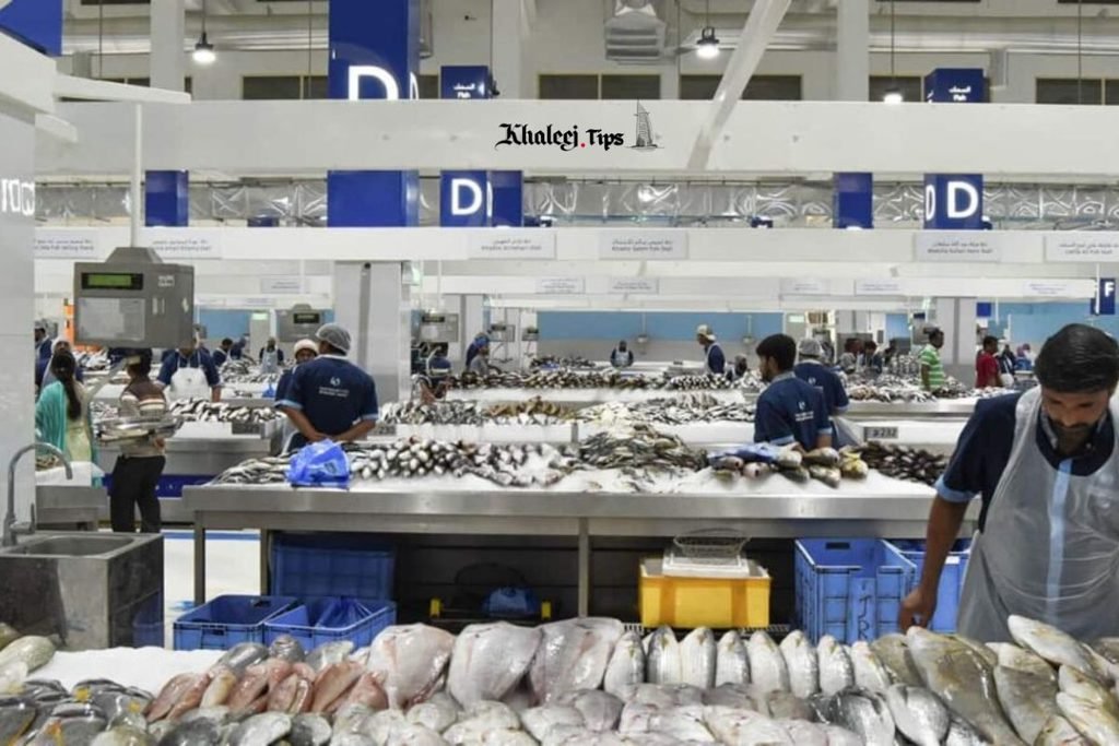 Al Karama Fish Market vs. Other Dubai Fish Markets